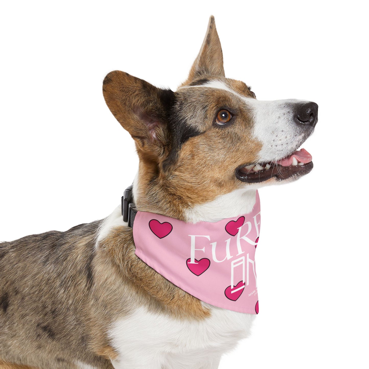 FuREVER ANGEL Pet Bandana Collar by “Mark Anthony Gable® Collection”